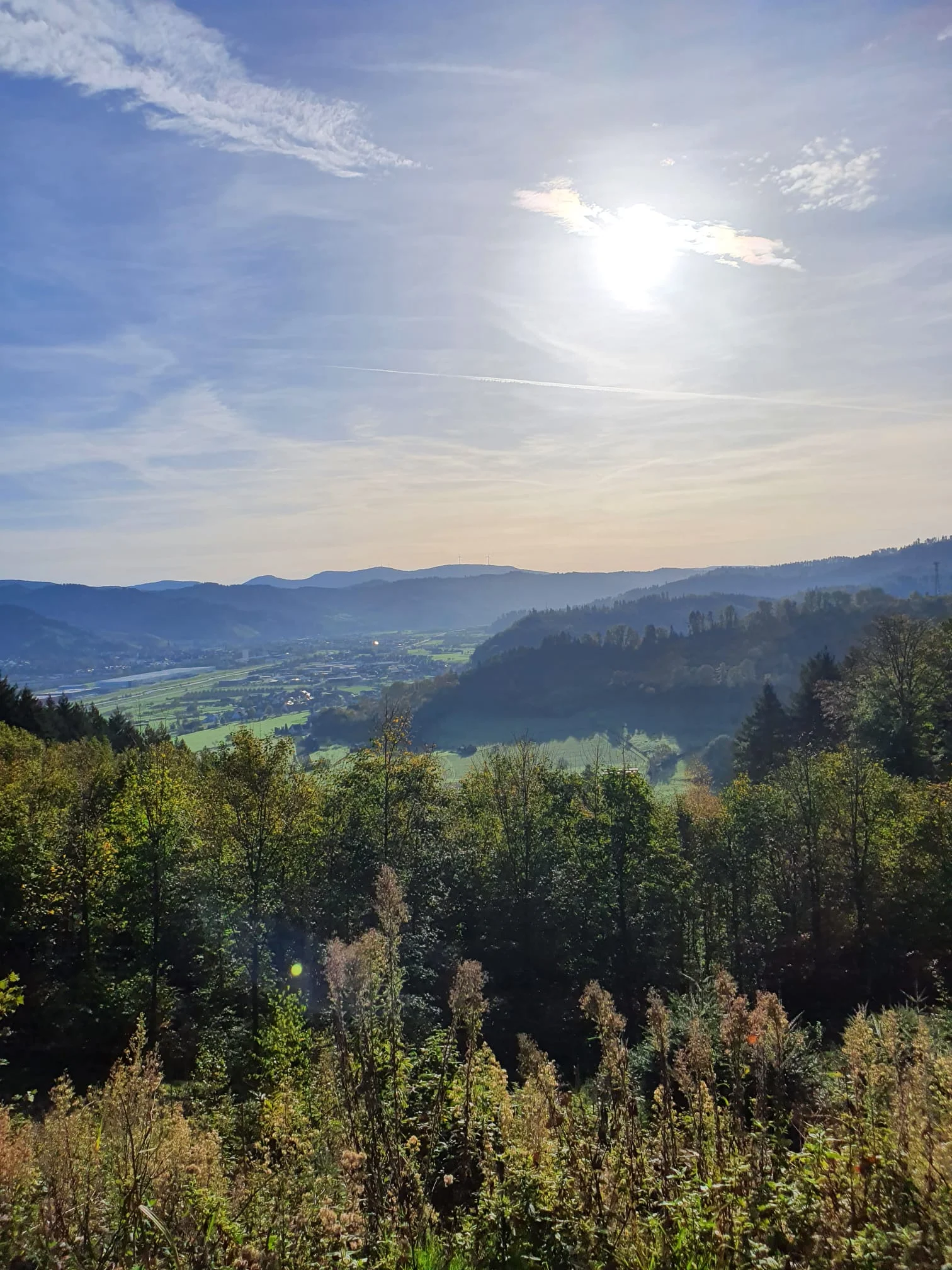 © Albert Schätzle