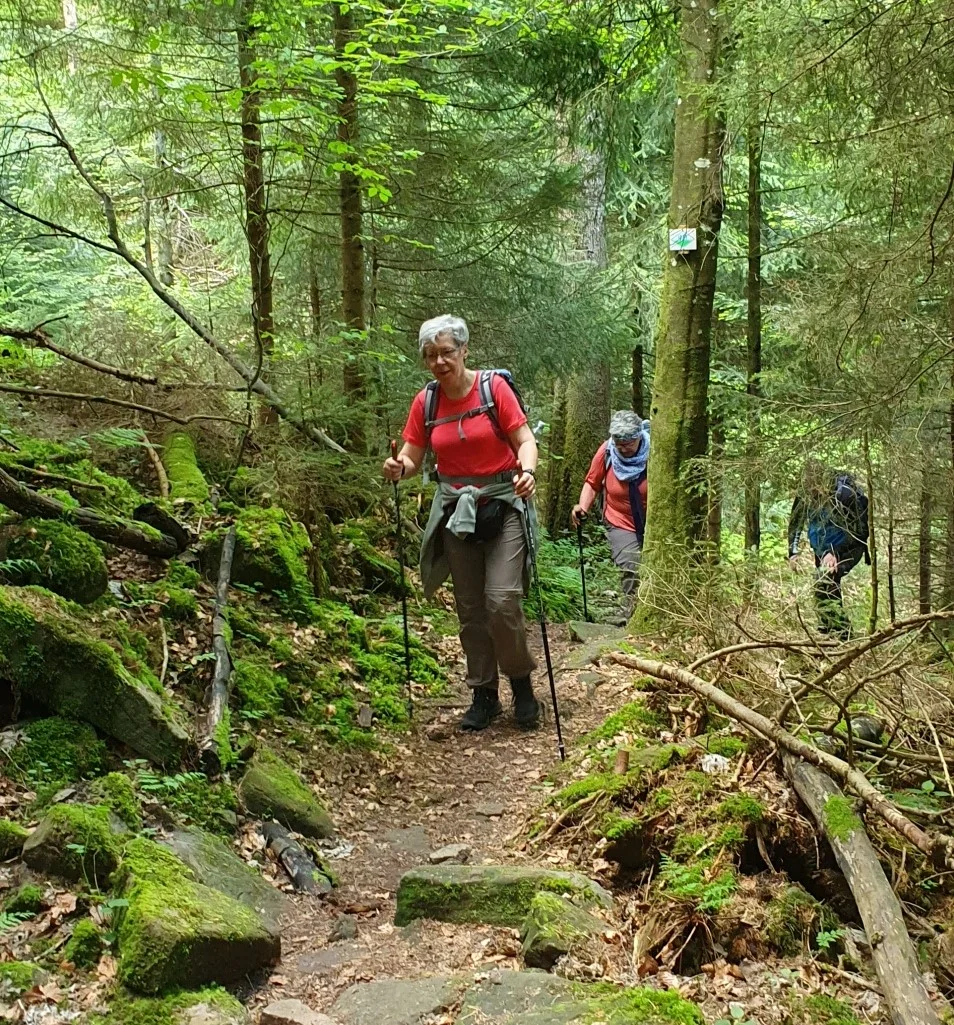 © Stephanie Boschert