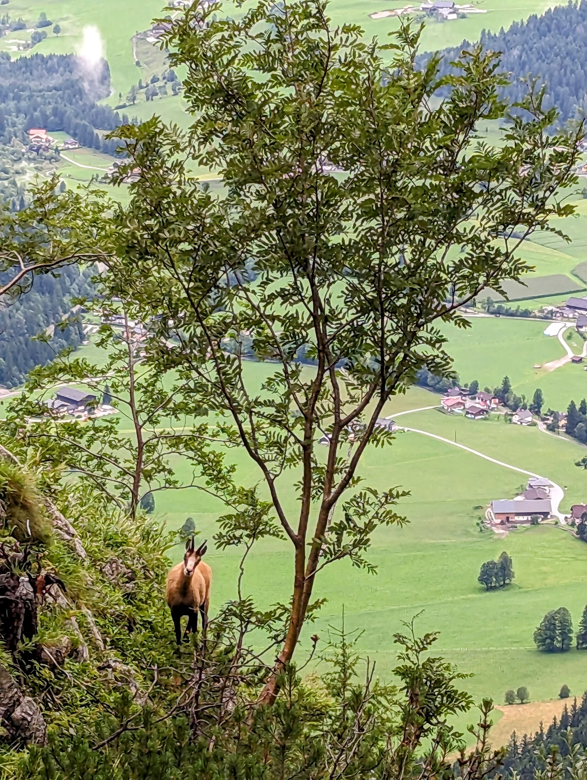 © Nico Groß