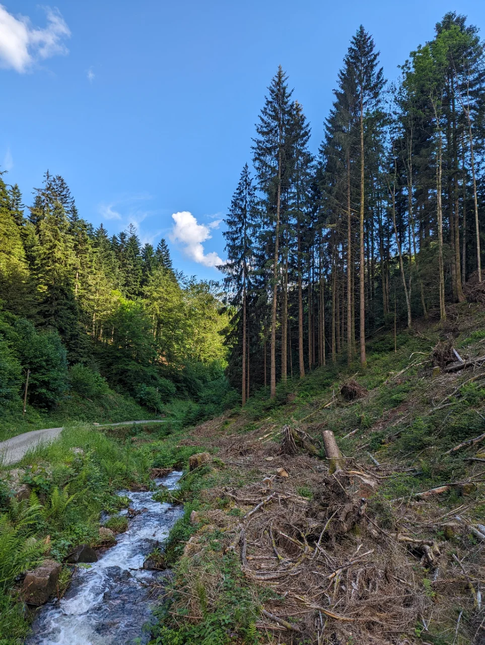 © Nico Groß