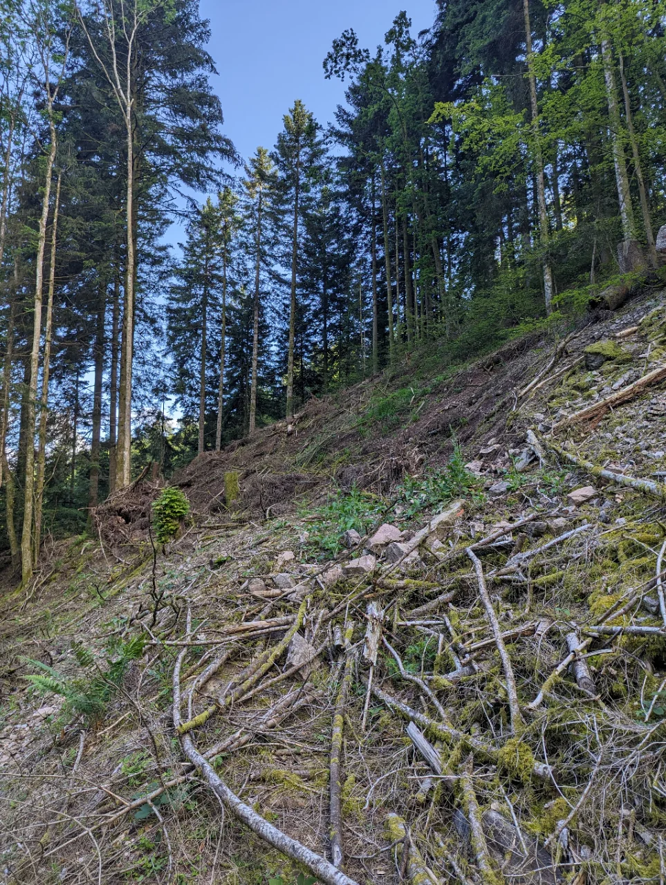 © Nico Groß